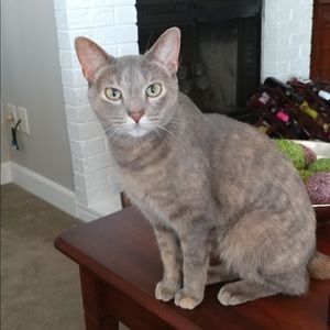 Meet your Posher, Kristin